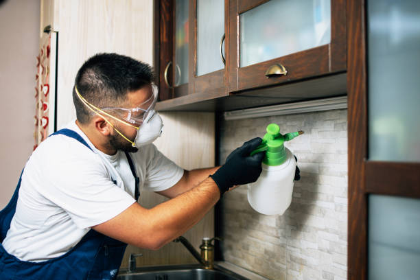 Best Exterminator Services  in San Manuel, AZ