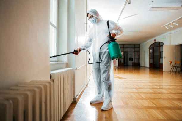 Best Pest Inspection Near Me  in San Manuel, AZ