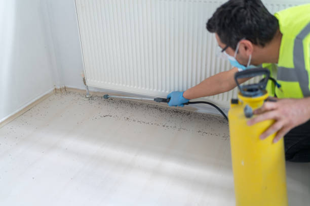 Best Mosquito Control Services  in San Manuel, AZ